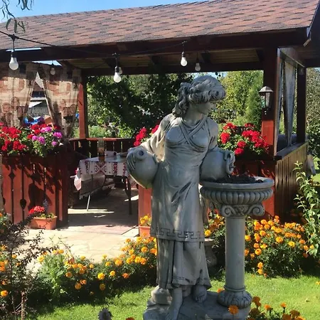 Casa Cu Pitici Vama (Suceava)