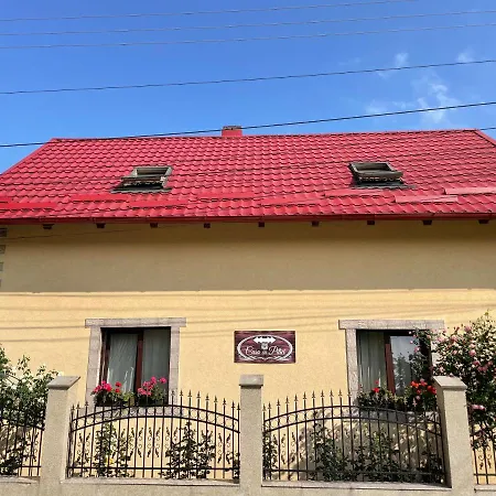Casa Cu Pitici Vama (Suceava)