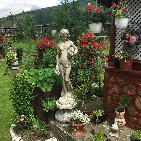 Casa Cu Pitici * Vama (Suceava)