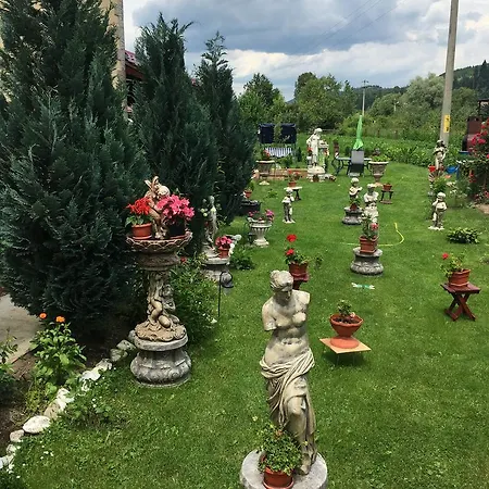 Casa Cu Pitici * Vama (Suceava)