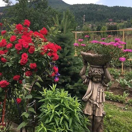 Casa Cu Pitici Casă la țară *