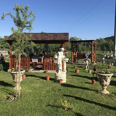 Casa Cu Pitici Casă la țară *