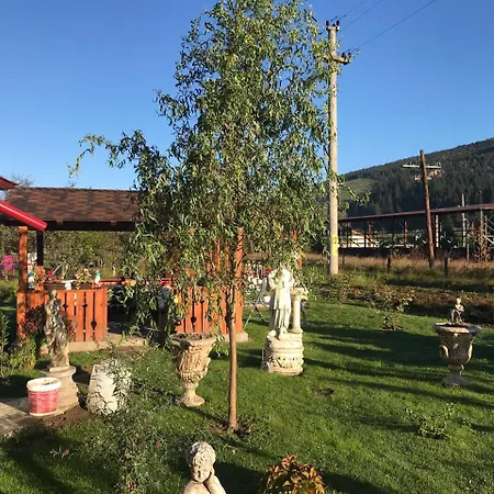 Casa Cu Pitici Vama (Suceava)