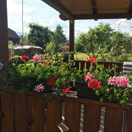 Casa Cu Pitici * Vama (Suceava)